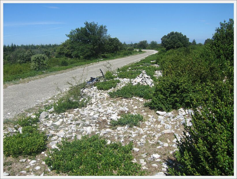 2010-07-25 Mourre de Cairas (08) Another cairns along road